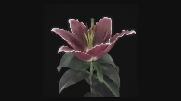 Roi!(videoclub)! instrumental🌘🪻