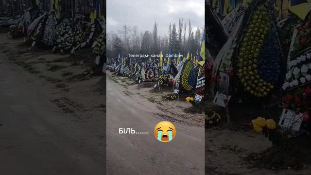 Еще одно кладбище ВСУ (Тернопольская область) смотреть онлайн