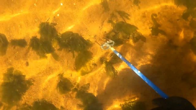 СЕВЕРНАЯ КАМБАЛА / ОХОТА 2022 смотреть онлайн