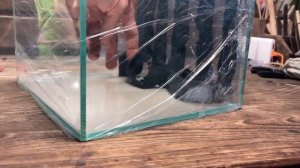 Как сделать фон (вертикальную стенку) с растениями и мхами в террариум, флорариум и пр.