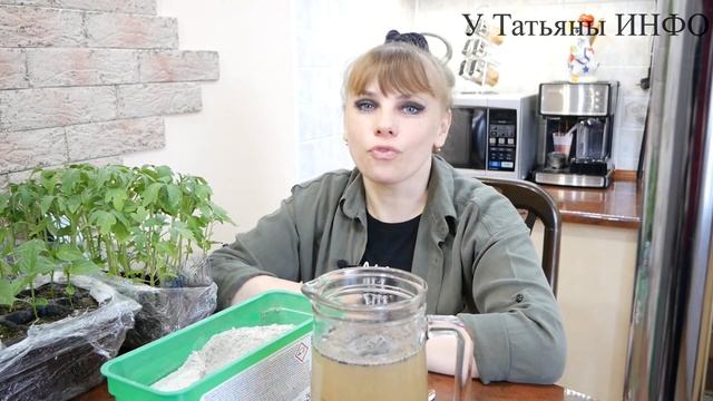 От ЭТОЙ подкормки РАССАДА: ТОМАТОВ, ПЕРЦЕВ и БАКЛАЖАНОВ аж ПИЩИТ !!! смотреть онлайн