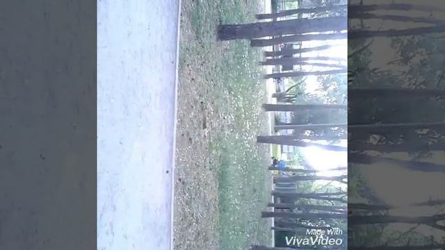 Я со своей подругой Лизой гуляю в парке/сняли клип смотреть онлайн