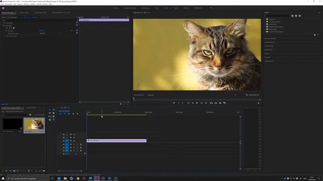 Drei Adobe Programme, Ein Workflow: Photoshop, Premiere Und After Effects Im Vergleich