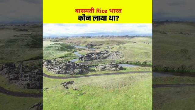 बासमती चावल के भारत आने की कहानी | Real Story of Basmati Rice | #shorts #basmatirice смотреть онлайн