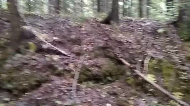 КОП МЕТАЛЛА НА УЗКОКОЛЕЙКЕ ПРОДОЛЖАЕТСЯ! смотреть онлайн