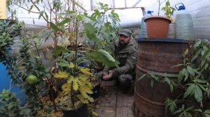 Итоги 2021 в Подземной теплице