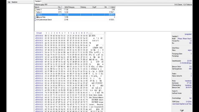 Festplatten / Partitionen wiederherstellen смотреть онлайн