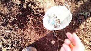 Чудо лопата, супер,  советую всем!!!