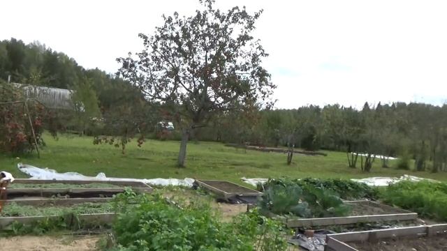 Зашила стены веранды//Поменяла на теплице пленку. смотреть онлайн