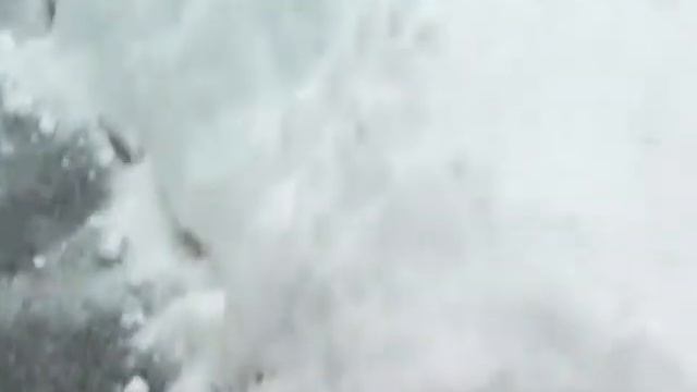 Red Petunia Snow Storm смотреть онлайн