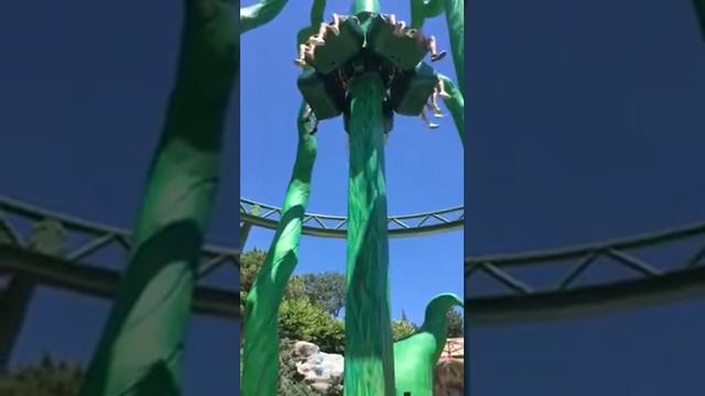 Дримвуд, Мрия ❤️❤️❤️ Плющ 🎋🌱🎋 смотреть онлайн