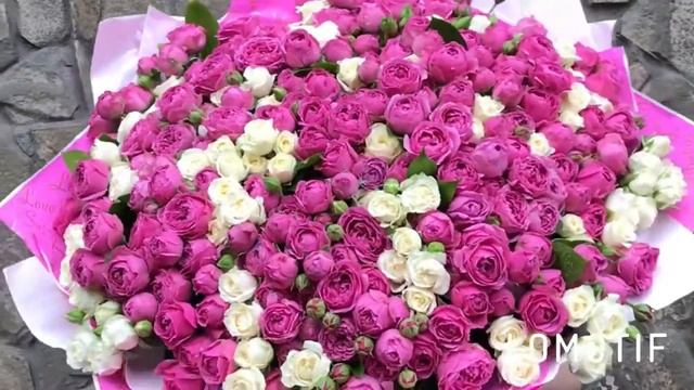 Доставка Цветов во Владикавказе!Дон Пион! смотреть онлайн