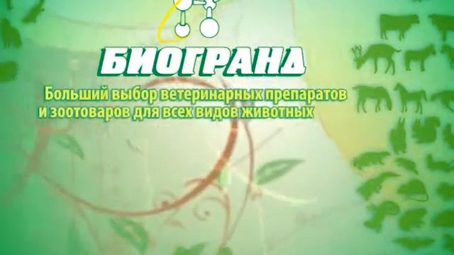 Лапы и хвост 05.11.2012 смотреть онлайн