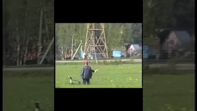Международный Чемпионат по курсингу 21.05.2011. Афганы. смотреть онлайн