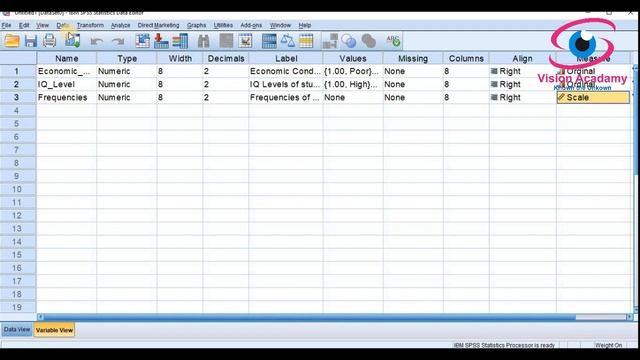 Chi Square Test for Independence of Attributes - Data Enter & Analysis in SPSS #20 смотреть онлайн