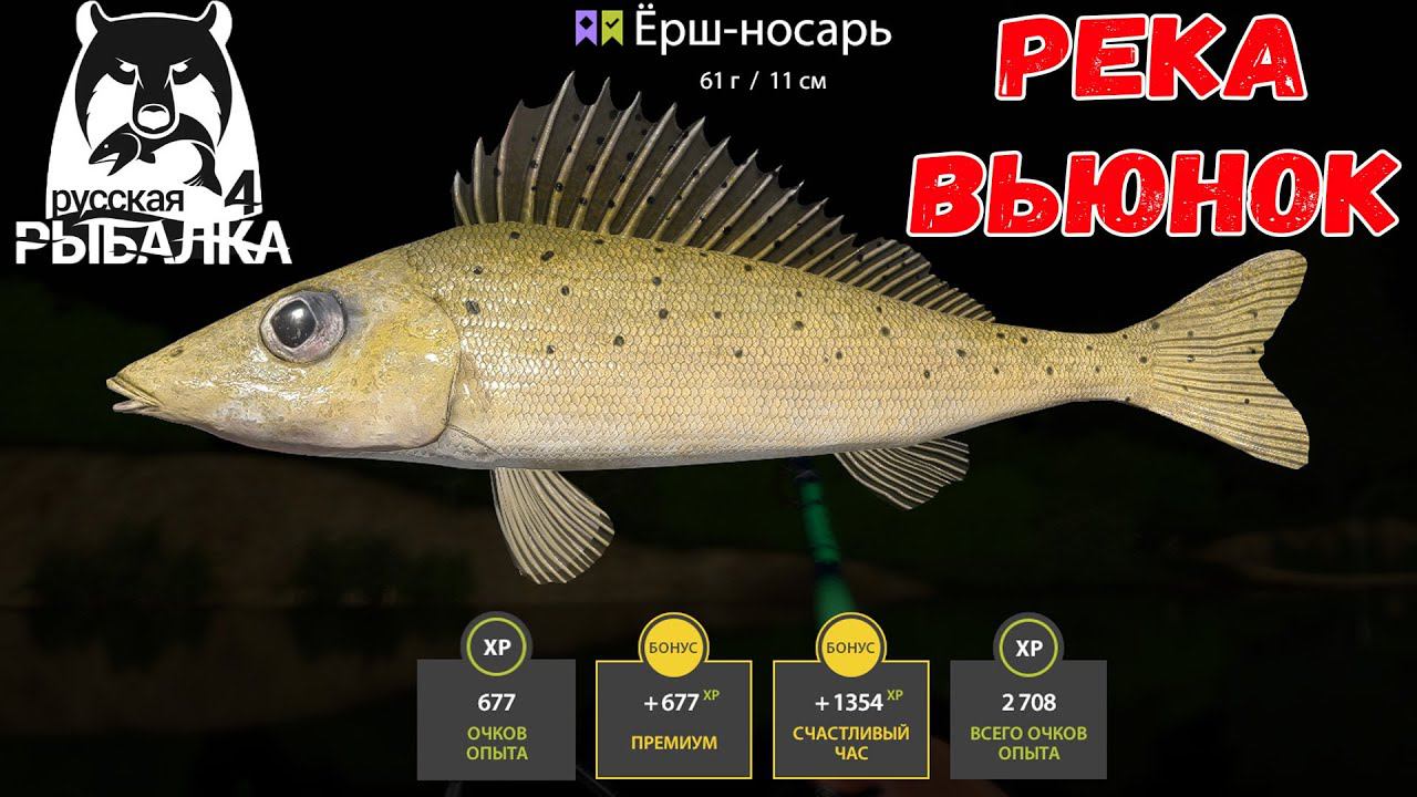 ФАРМ ДЛЯ НОВИЧКОВ НА ВЬЮНКЕ В РУССКОЙ РЫБАЛКЕ 4 РР4 смотреть онлайн