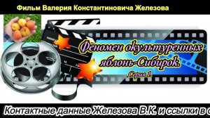 Феномен окультуренных яблонь-Сибирок. Серия 1.