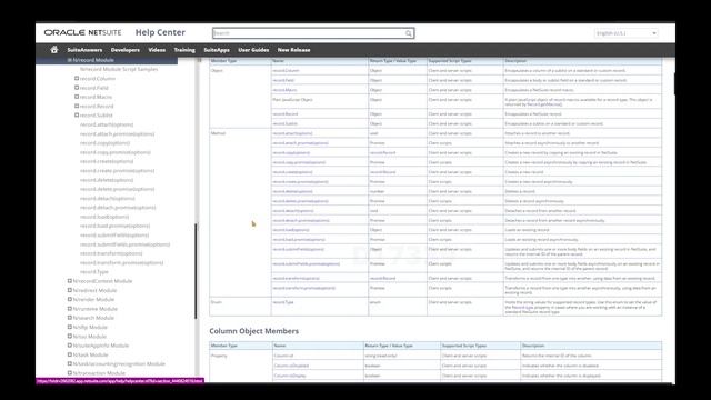 SuiteScript Tutorial - Documentations and Prerequisites смотреть онлайн