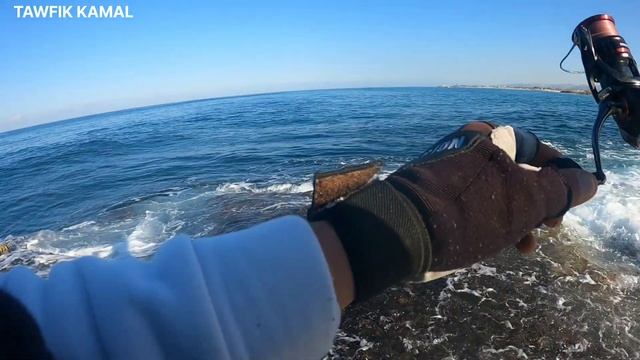 חיפוש לברקים ? ראשונים לעונת 2023 וגם שחרורים.וקלמארי fishing seabass and kalamari смотреть онлайн