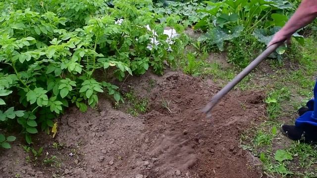 Современна деревня. Часть вторая. Современный быт.