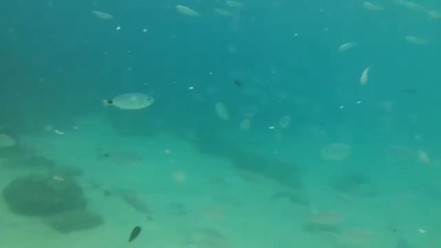 Fenals Beach Underwater 2013 (Lloret de Mar, Spain) смотреть онлайн