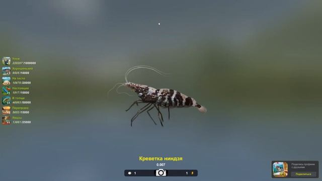 Креветка ниндзя, редкая, игра Трофейная рыбалка 2, река Янцзы, локация Переправа смотреть онлайн