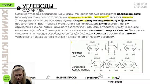 Биология ЕГЭ - Химия клетки смотреть онлайн