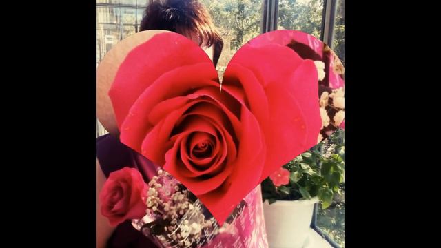 День рождения 11.08.2017 г. смотреть онлайн