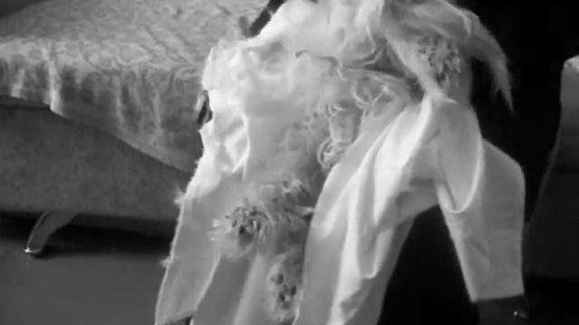 Стрижка собаки смотреть онлайн