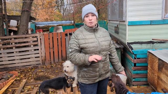 Ремонт вольеров, Ричард едет в клинику и дождливый день смотреть онлайн