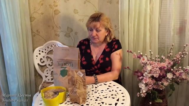 ВЫГОНКА ЛУКОВИЧНЫХ К ПРАЗДНИКУ ! смотреть онлайн