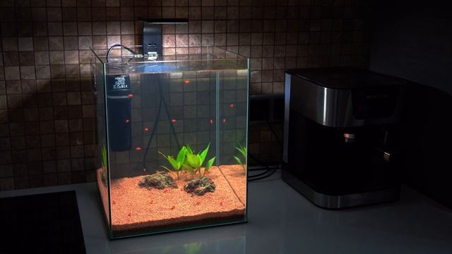 Малявочник на кухне. (Убрать нельзя оставить...) смотреть онлайн