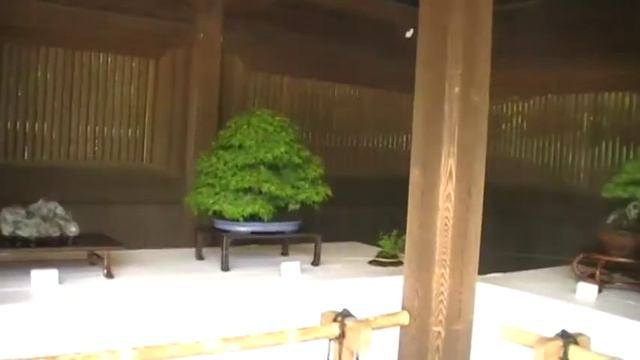 Bonsai tokyo 2011 смотреть онлайн