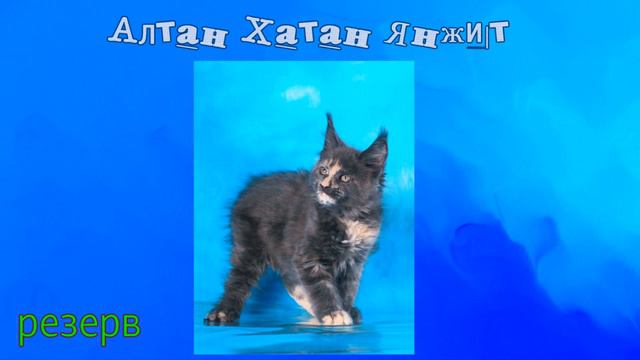 АЛТАН ХАТАН Я смотреть онлайн