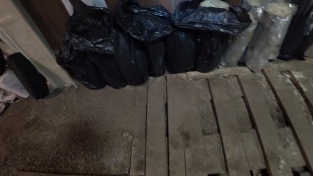 Вирощування вешанки на пнях в себе вдома. Выращивание вешанки на пнях у себя дома. смотреть онлайн