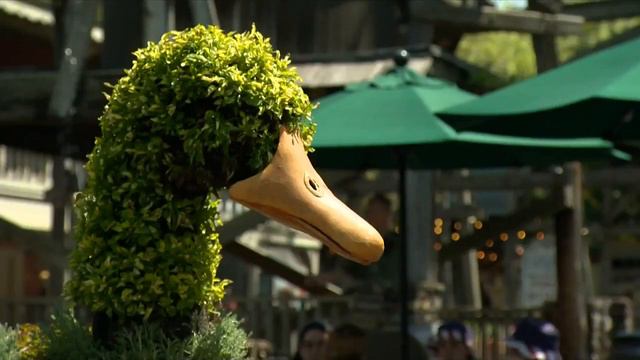 3 Plus Your Fun- Dollywood смотреть онлайн