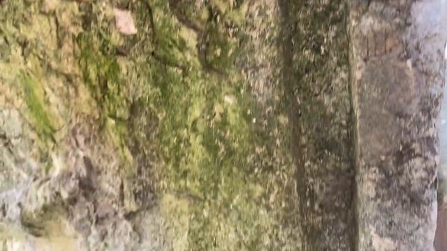 Руины. Загадочные постройки. Что скрывают? Прогулка вдоль горной реки. Древняя цивилизация. смотреть онлайн