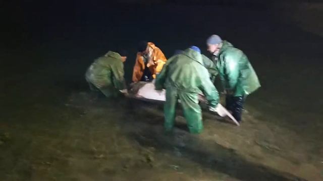 Осетровый рыбоводный завод в городе Атырау (Казахстан). Март 2021 года. Белуга весом 150 кг смотреть онлайн