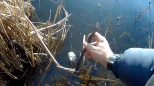 Рыбалка на ЩУКУ на закидушки на живца