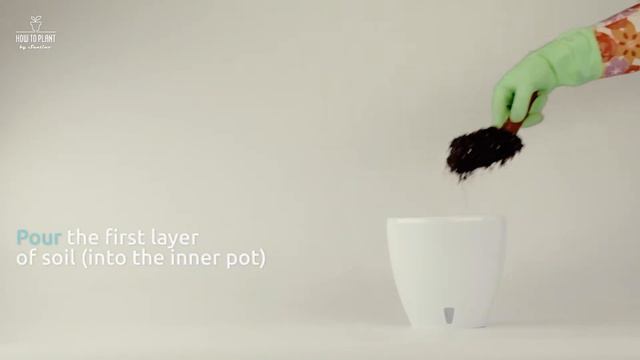 How to plant Cyclamen in a self watering DECO' Twin pot by Santino смотреть онлайн