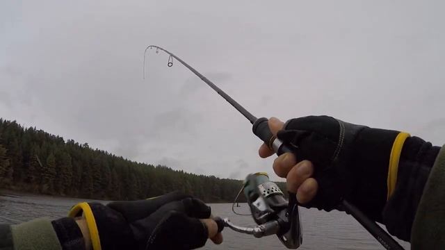 Проводка для пассивного окуня смотреть онлайн