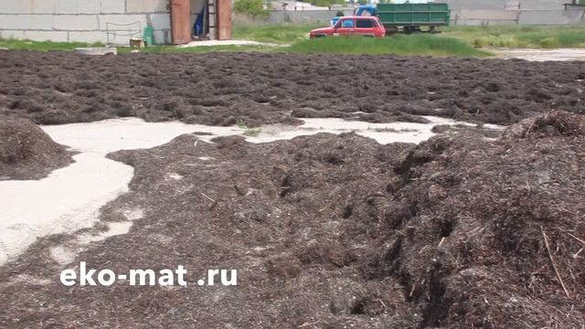 Процесс сушки морской травы 