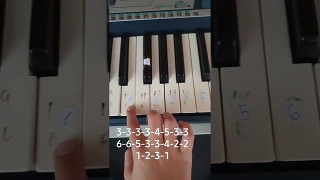 Música Another Love no teclado. (eu estou aprendendo!) #música #anotherlove #teclado #aprender смотреть онлайн