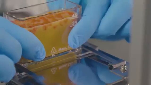 Новости nl День Рождение 2017.Новинки ЕДШКА. смотреть онлайн