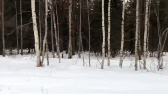 Прокат снегоходов смотреть онлайн