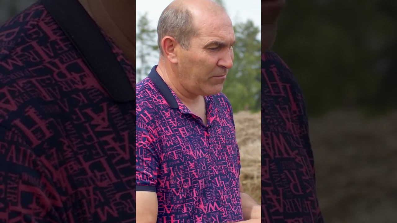 Уход за телятами #фермер #животноводство #сельскоехозяйство смотреть онлайн