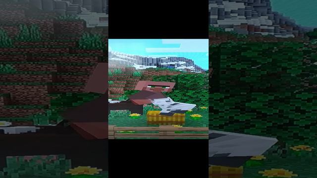 VID_20240729_120446.mp4