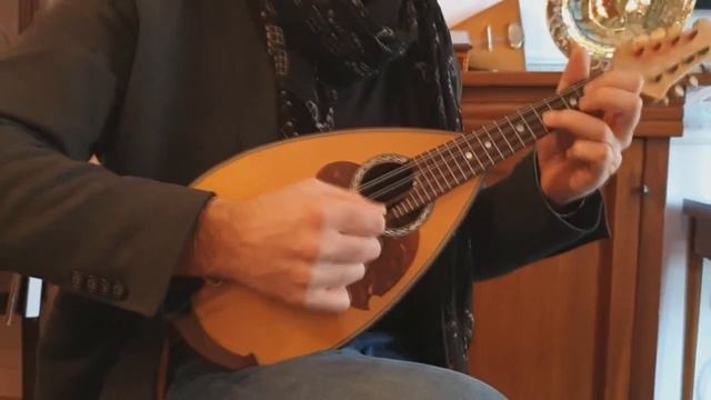 Love Theme - E. Morricone (Solo Mandolin Arrangement by G. Torrisi - Performed by Tiziano Palladino смотреть онлайн