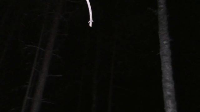 Лес самоубийц. Шёпот призрака?. В поисках призрака смотреть онлайн