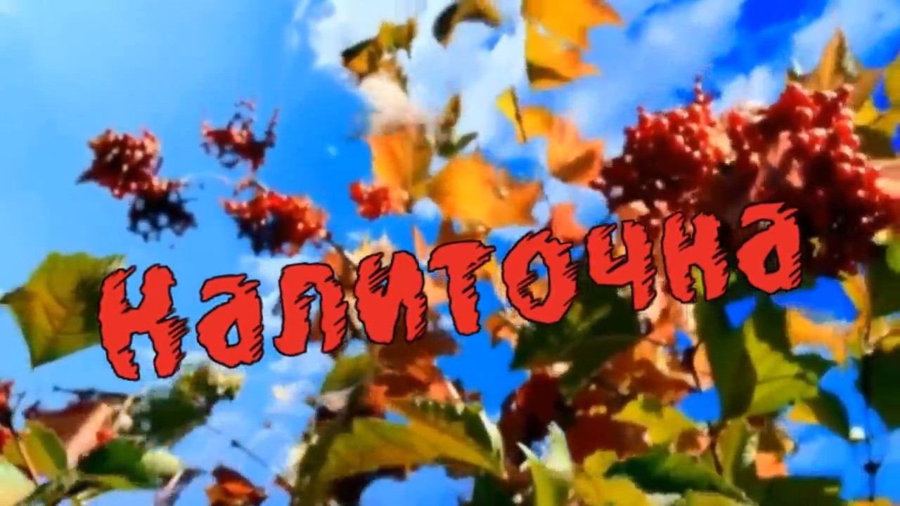 Николай Берег-Калиточка.mp4 смотреть онлайн